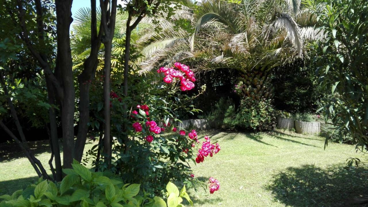 Appartamento Giardino Sugli Ulivi Riva del Garda Exterior foto