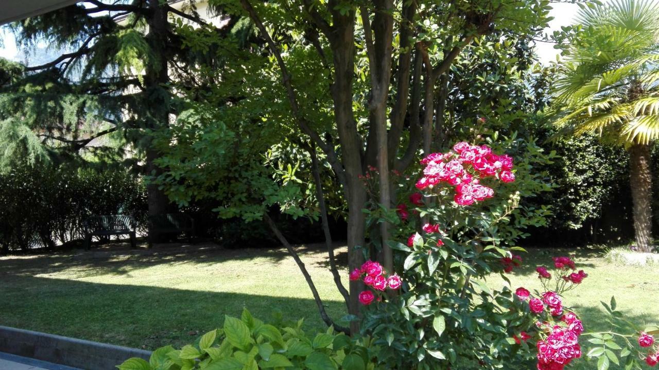Appartamento Giardino Sugli Ulivi Riva del Garda Exterior foto